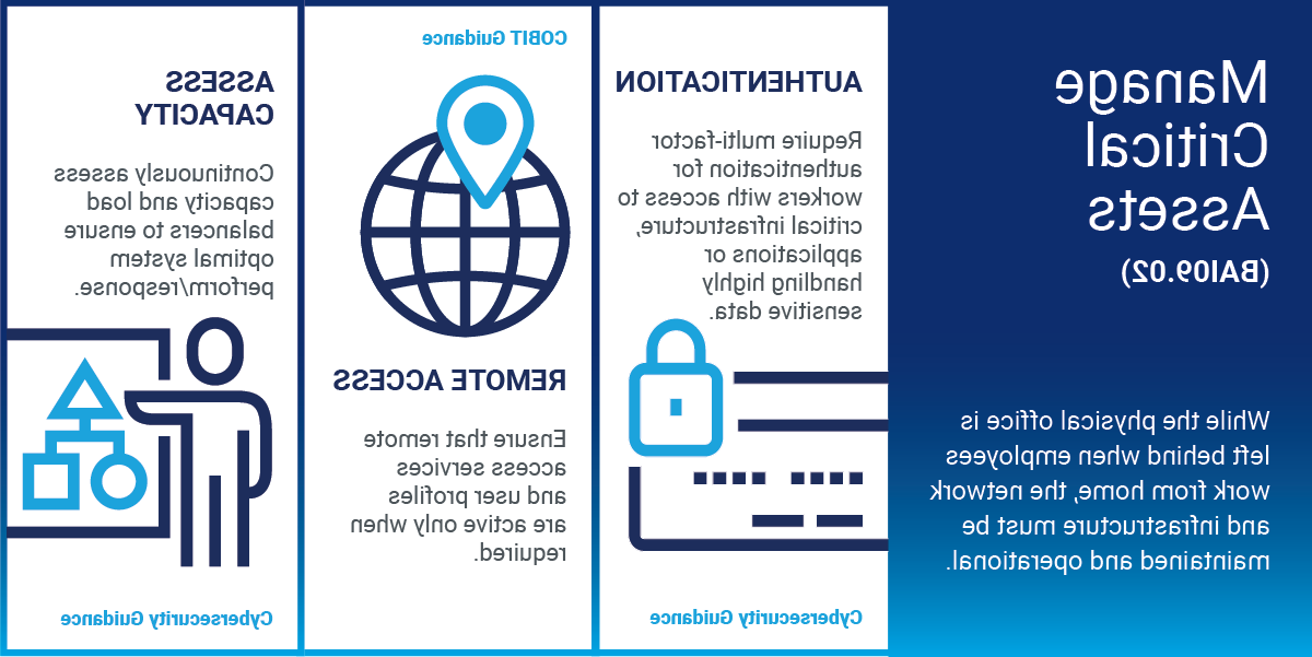 Manage Critical Assets (BAI09.02)