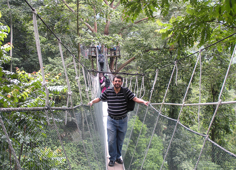 Fernando de Navarro Menezes