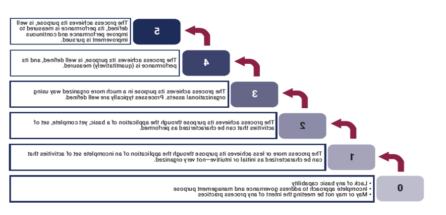 ‘A COBIT 2019 Use Case: Financial Institutions in Georgia